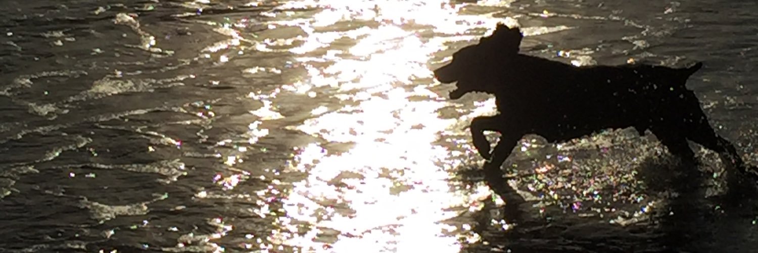 RutledgeJohnson's profile banner image