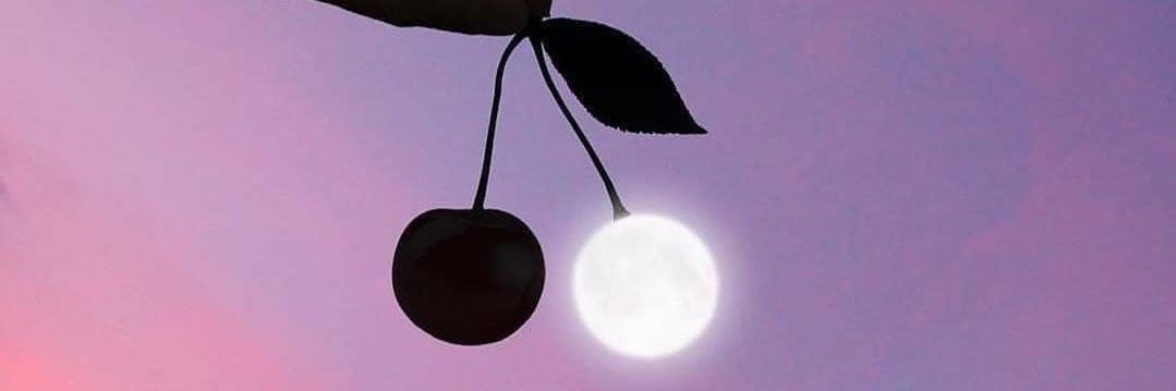 grisnei__'s profile banner image