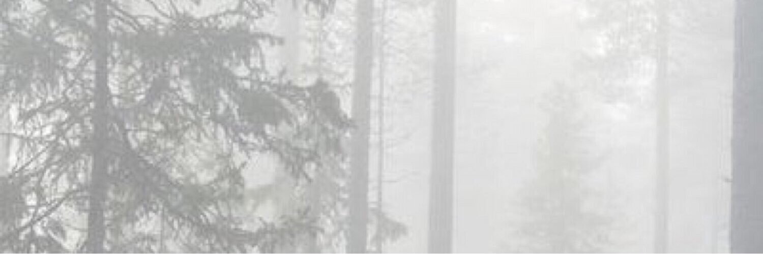 8591996's profile banner image