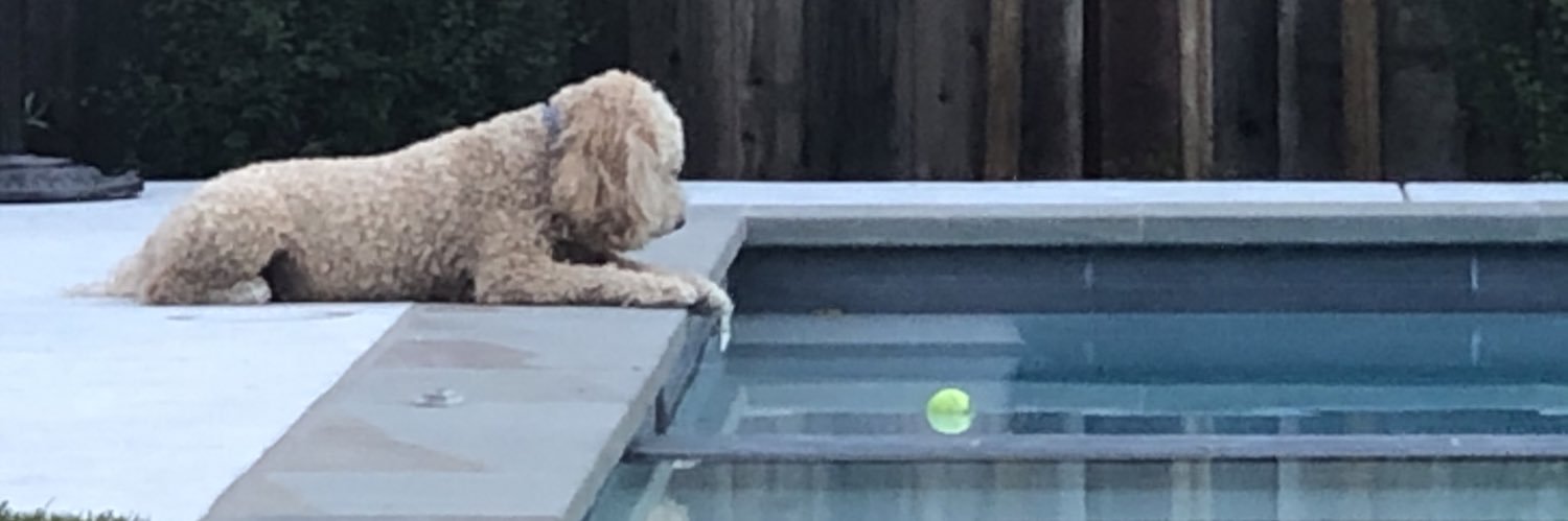 Matt Macomber 🇺🇸 banner