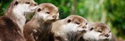 Cheryl Hunter 🌍 banner