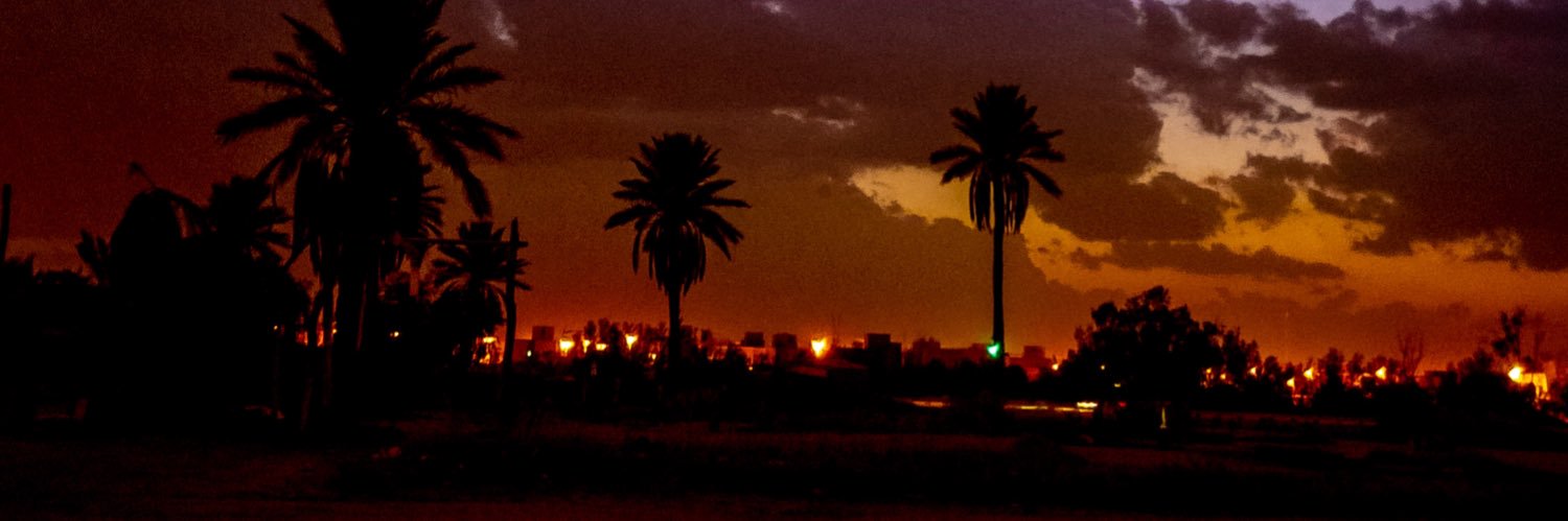 علي السليمي banner