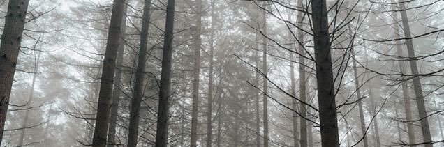 althrmlo's profile banner image