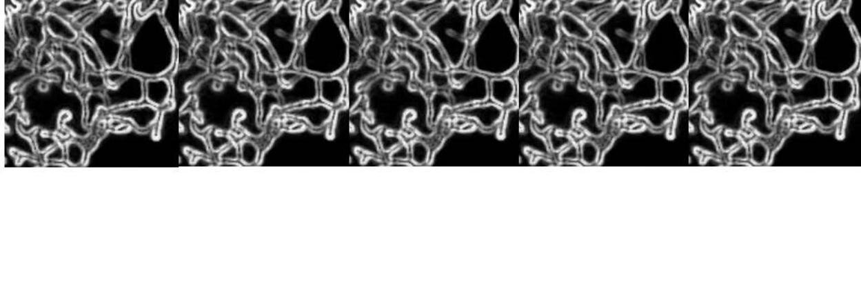 onco_geek's profile banner image