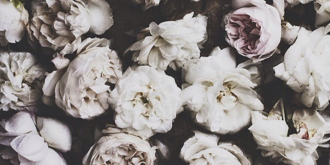 KendallNicoleHC's profile banner image