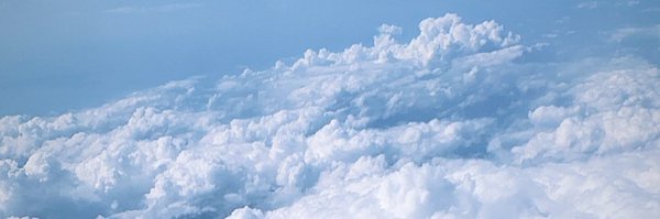 mamitopic Profile Banner