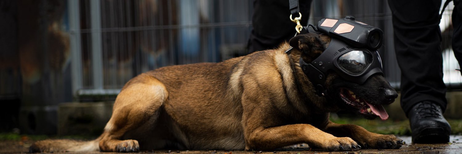 Scoffa, PD Quake, TPD Wilson, RPD Echo & RPD Sansa banner