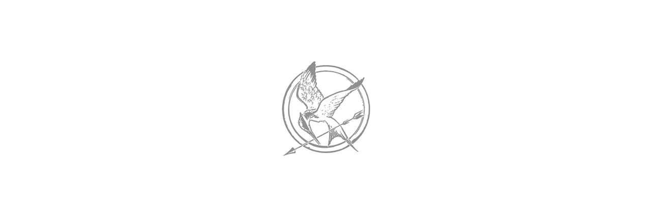 everlarkshit's profile banner image