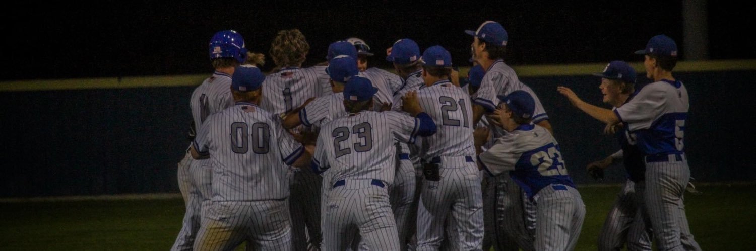 GRAVES CO. BASEBALL banner