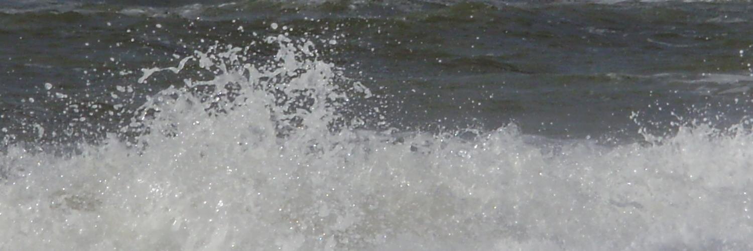 Tadamoris's profile banner image