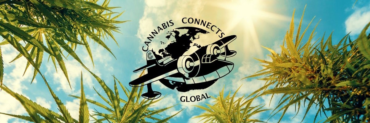 CCG_directory's profile banner image