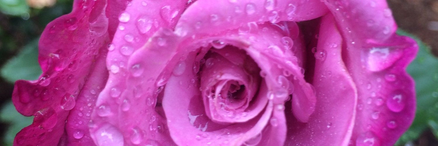*~*Cappy*~* banner