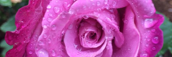 mcangel08corn Profile Banner