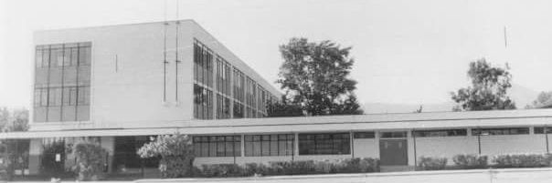 ENRIQUE TONOLLI banner