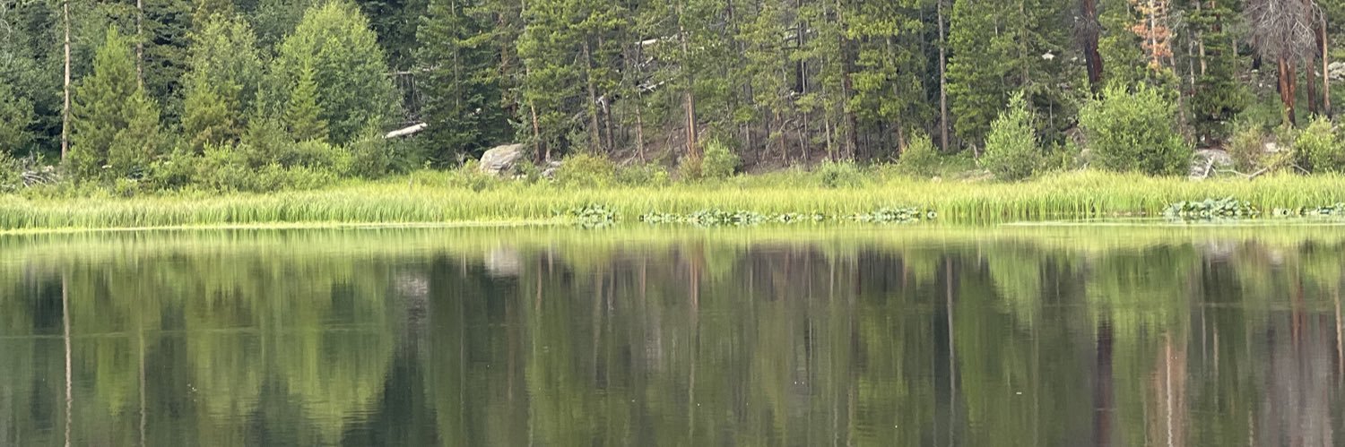 Justin Boliver banner
