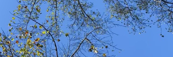 viditb Profile Banner