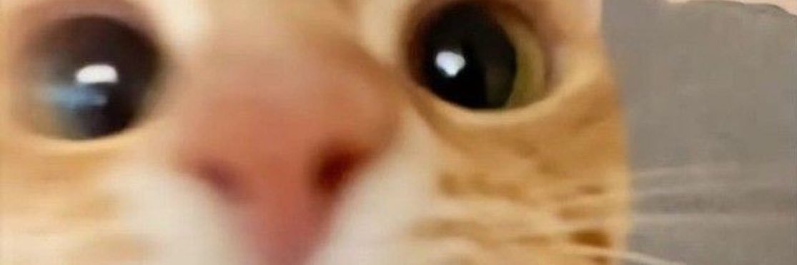 PauRamona's profile banner image