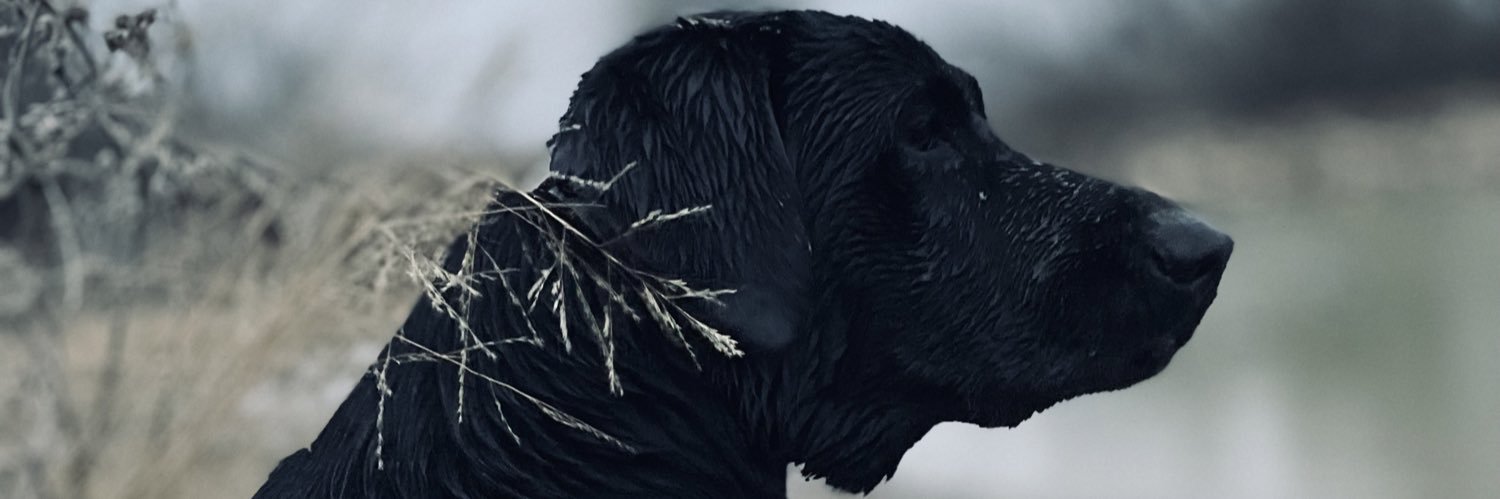 Drewdebusk's profile banner image