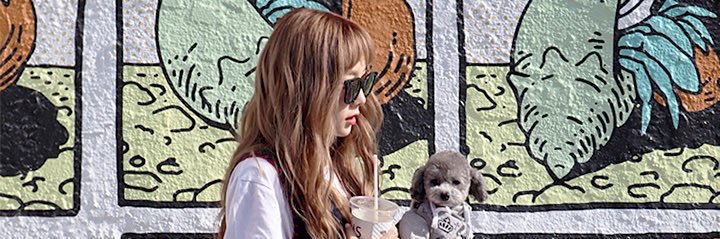 yp__ss's profile banner image
