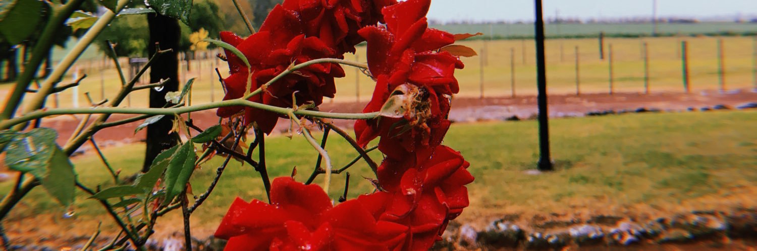 Afflo10's profile banner image