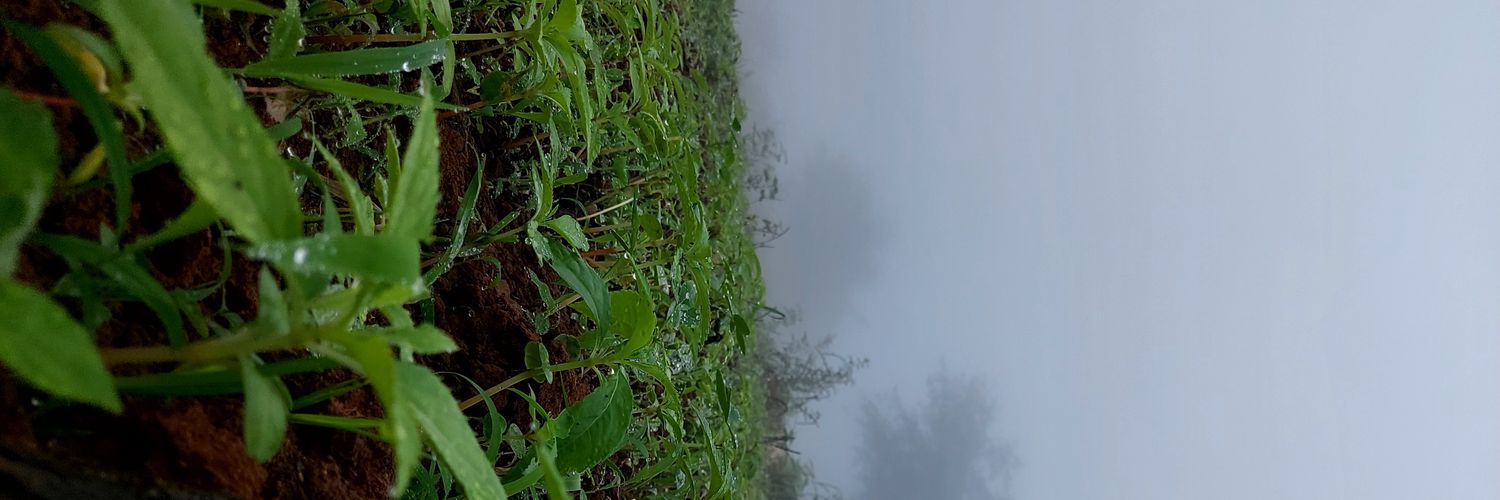 efk_77's profile banner image