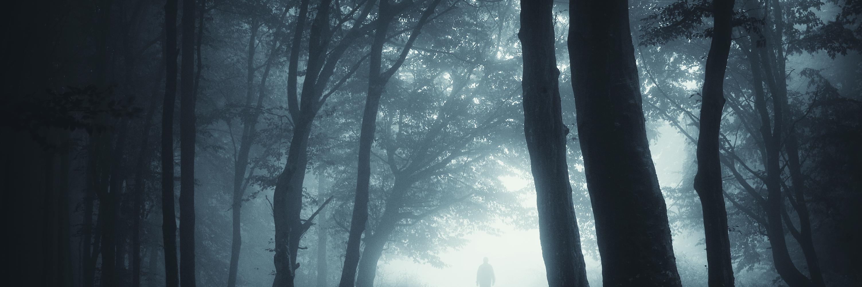 AJColbyAuthor's profile banner image