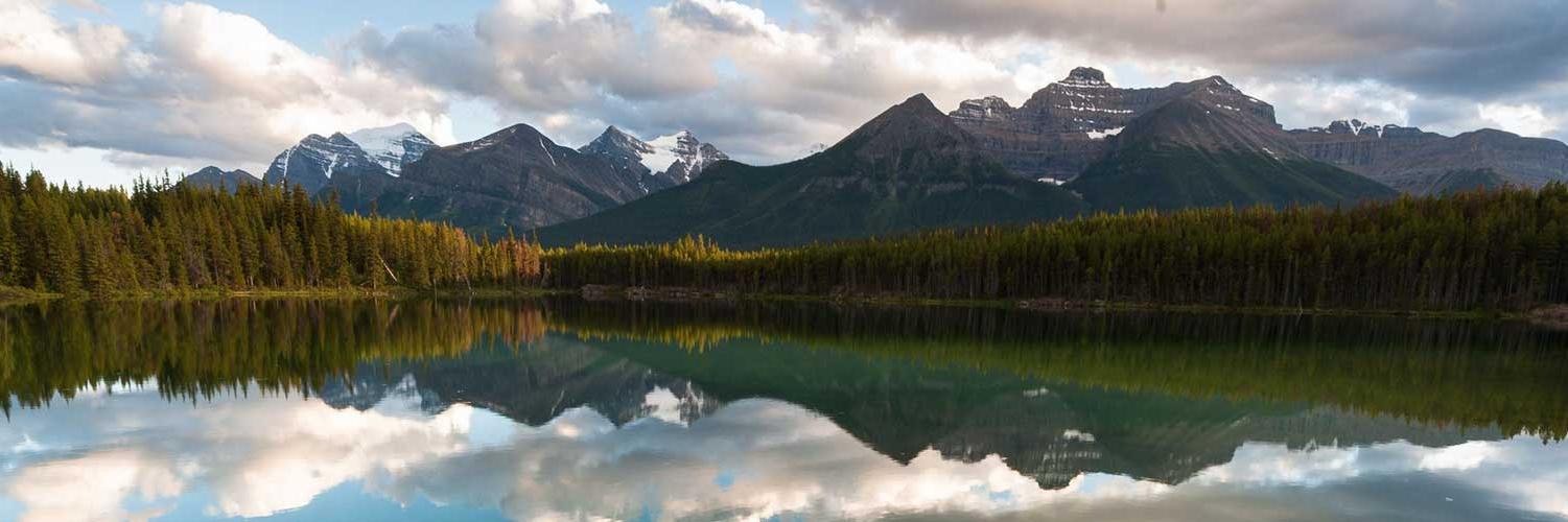 CanadianHunting's profile banner image