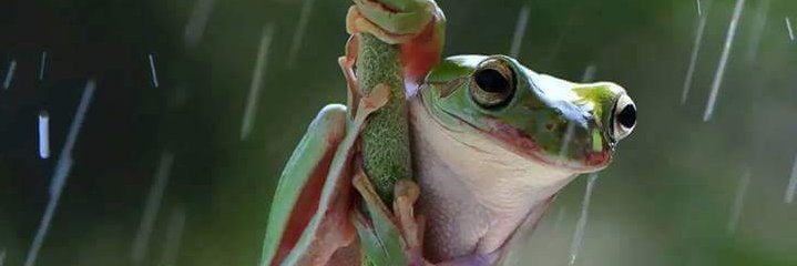 Iamheadstrong23's profile banner image