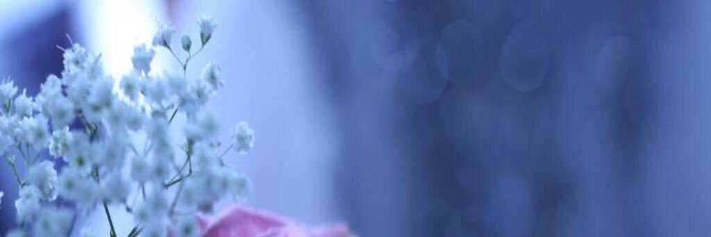 zojeat's profile banner image