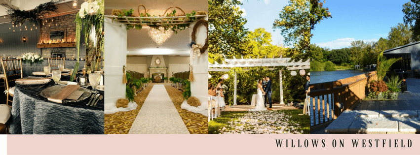 TheWillowsIndy's profile banner image