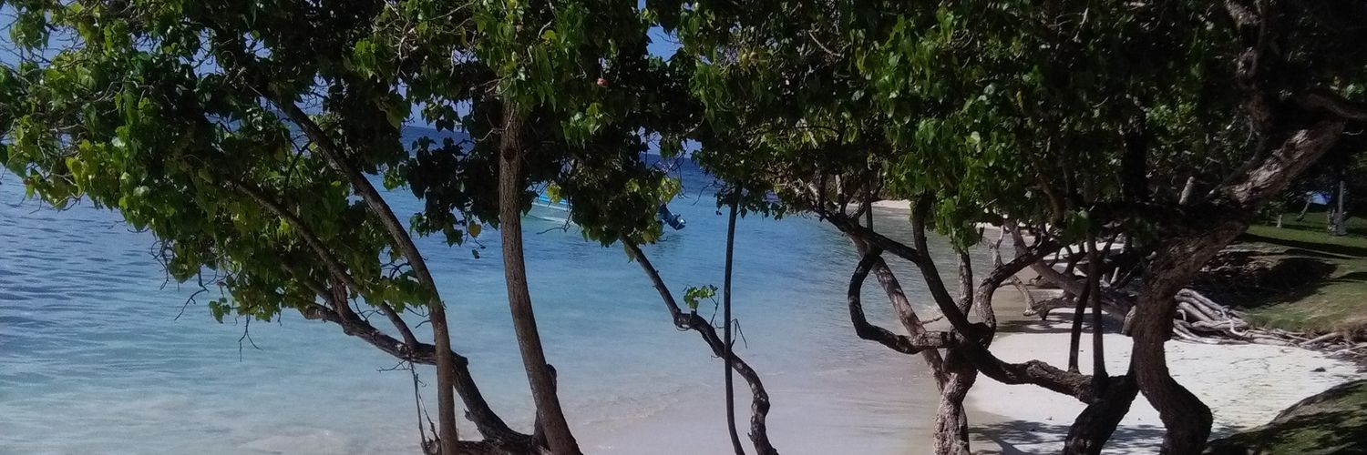 analivarcald's profile banner image