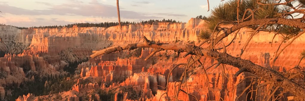 zondoATC's profile banner image