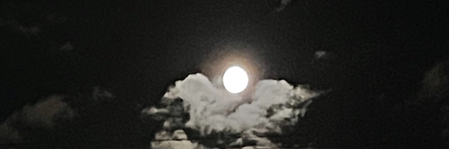 witchbaitt's profile banner image