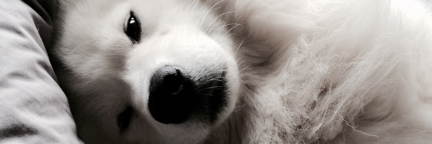 Natasha Simpson banner