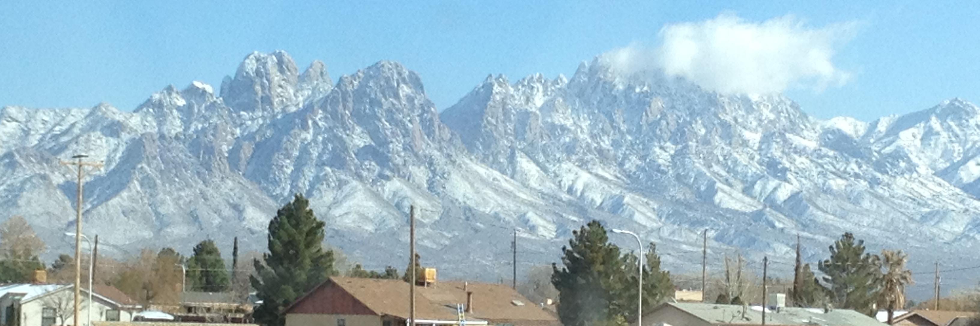 Toni Hull, Ed.D. banner