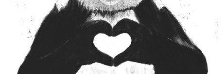 Svistia's profile banner image
