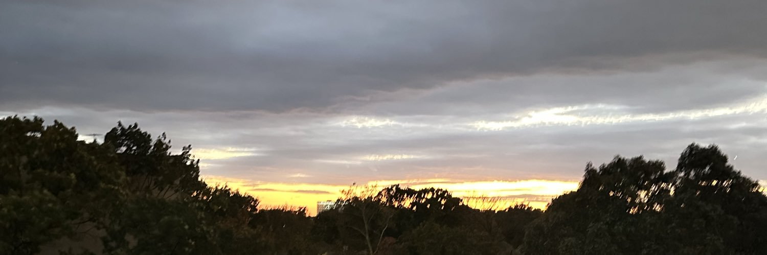 vonnyv's profile banner image