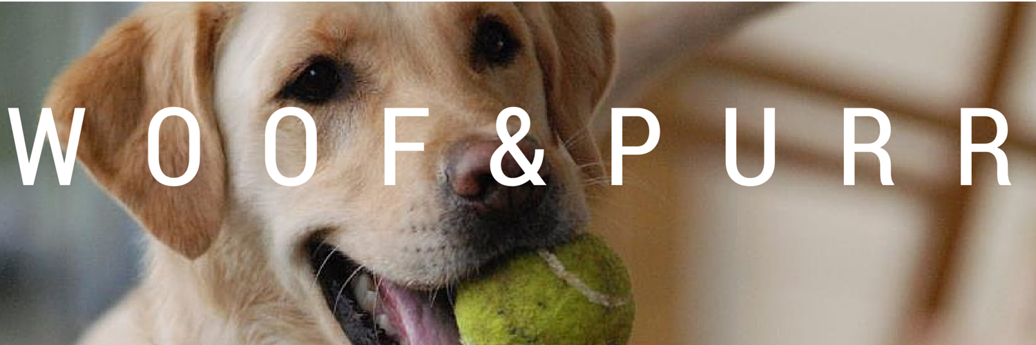 AHNApets's profile banner image