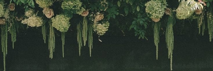douglas_camps's profile banner image