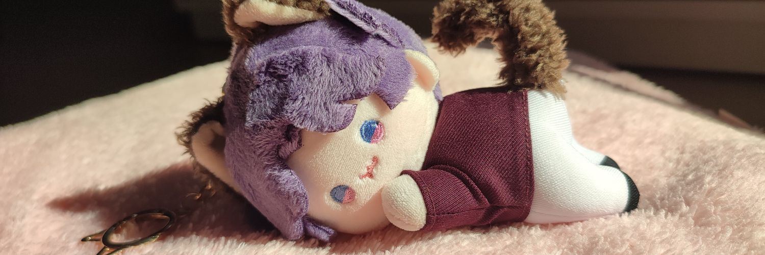 MSBferin's profile banner image
