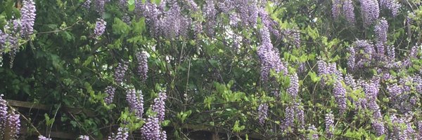 JesseLonghurst Profile Banner