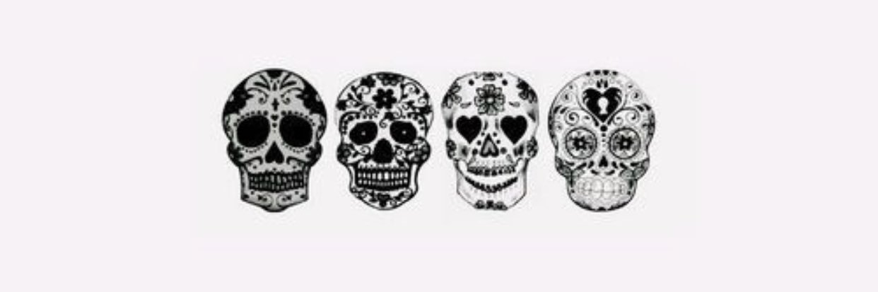 Emily_Lopez18's profile banner image