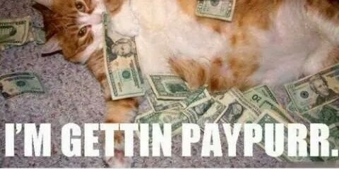 CreeCupcake's profile banner image