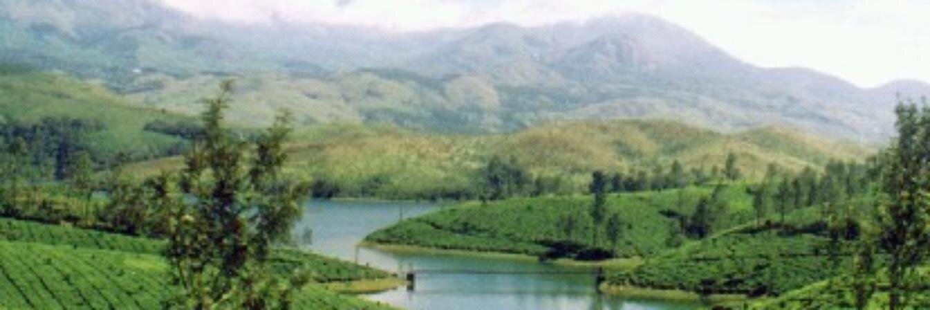SwyamBhashkar's profile banner image
