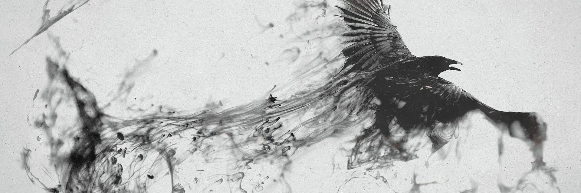 DeanTorre1's profile banner image