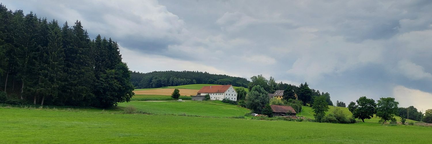 dvigi_'s profile banner image