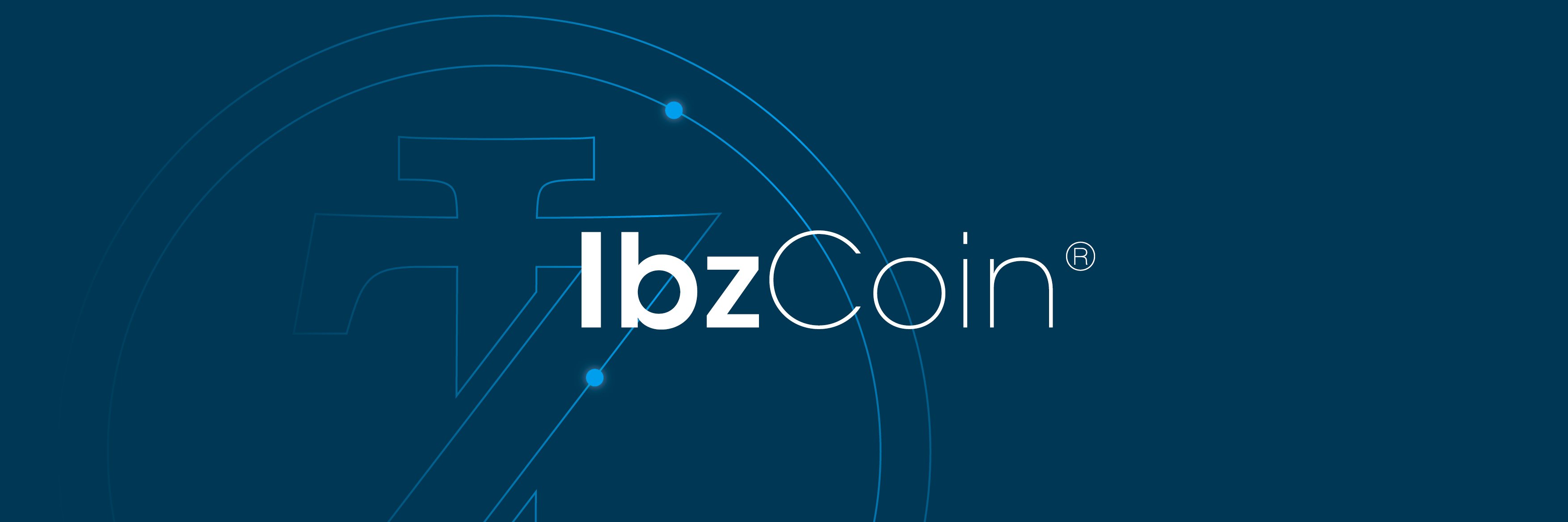 IBZ Systems LLC banner