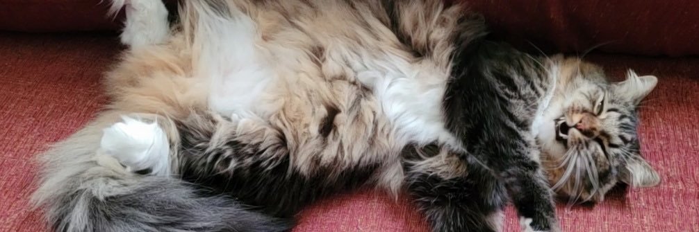 Nathan Nathansen banner