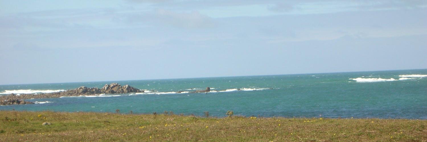 Amelie Willecomme banner