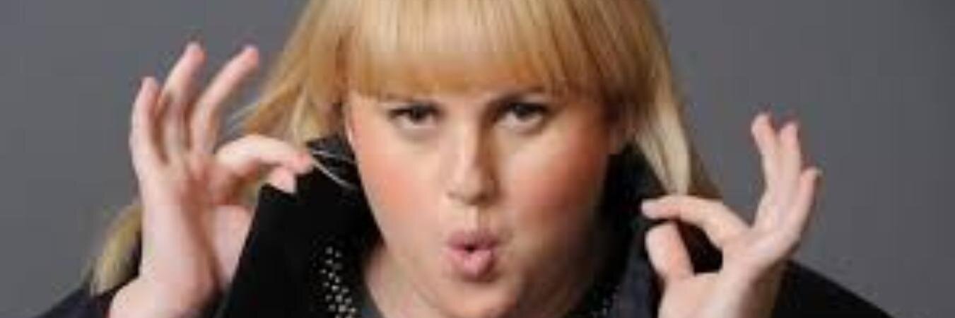 Fat Amy banner
